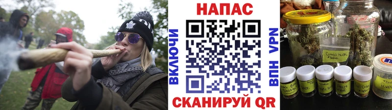 Конопля план  продажа наркотиков  Старая Русса 